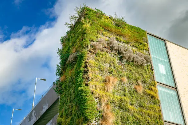 Siding Replacement GRIMESLAND NC 4 Building wall covered in a living green wall